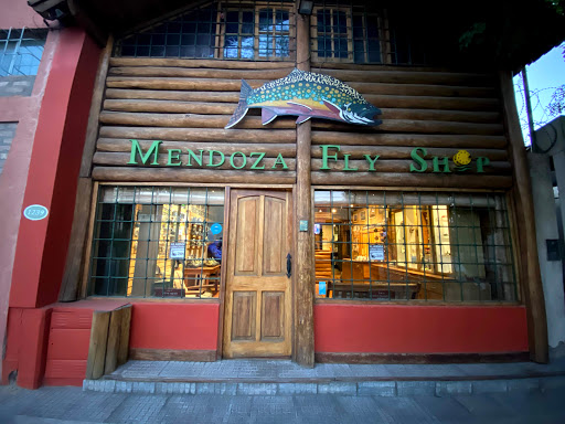 Stores to buy women's geox Mendoza