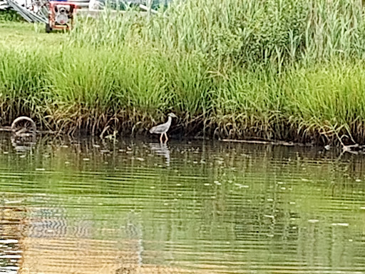 Tobacco Shop «Poospatuck Smoke Shop», reviews and photos, 207 Poospatuck Ln, Mastic, NY 11950, USA