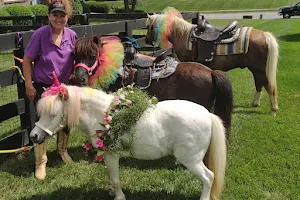 Unicorns & Lollipops Pony Rides image