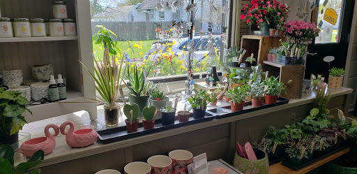 Florist «Maple Avenue Flowers», reviews and photos, 403 N Maple Ave, Warsaw, IN 46580, USA