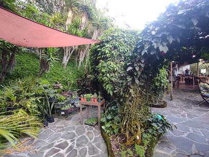 Restaurante Tu Jardin Secreto Vivero Cafe - Finca lutecia km9 carretera a, Planes de Renderos, El Salvador