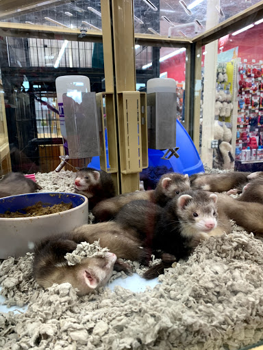 Pet Supply Store «Pet Supermarket, Inc.», reviews and photos, 598 N McCarran Blvd, Sparks, NV 89431, USA