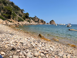 Photo de Cala d'Urgell Beach zone sauvage