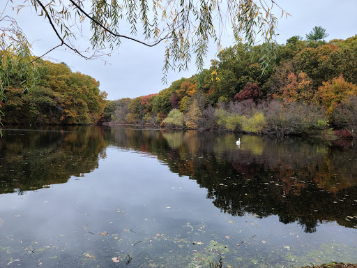 Ollie Turner Park, Longfellow Pond Trail, Wellesley, MA 02481