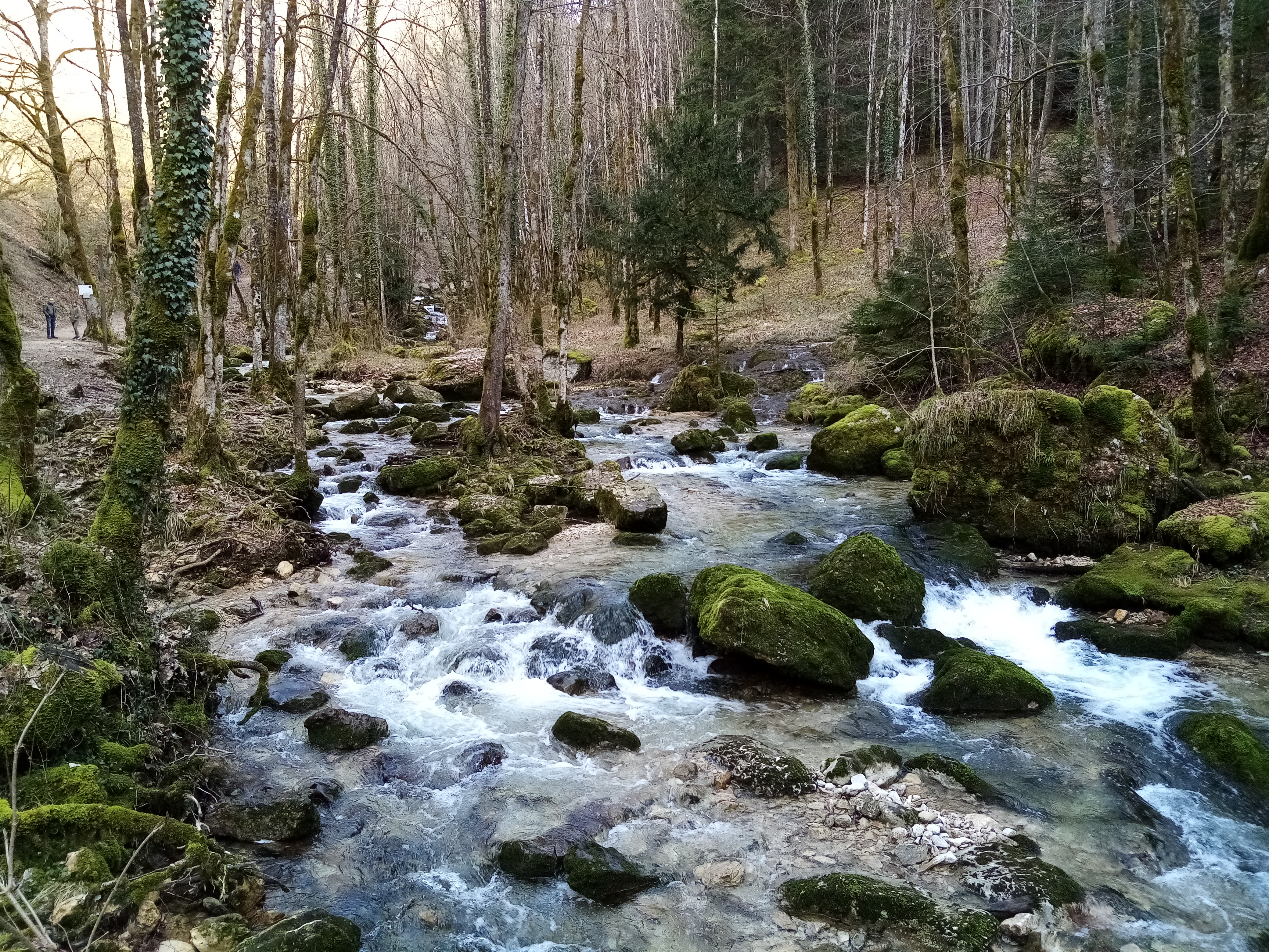 Photo n° 2 de l'avis de Fabrice.u fait le 26/02/2020 à 15:44
