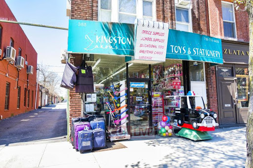 Kingston Toy & Novelty, 388 Kingston Ave, Brooklyn, NY 11225, USA, 