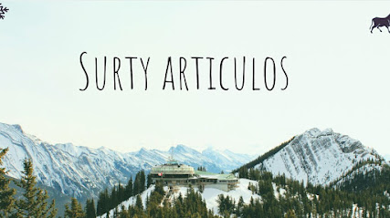 Surty articulos
