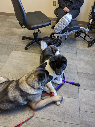 Animal Shelter «BrightSide Animal Center (formerly Humane Society of Redmond)», reviews and photos