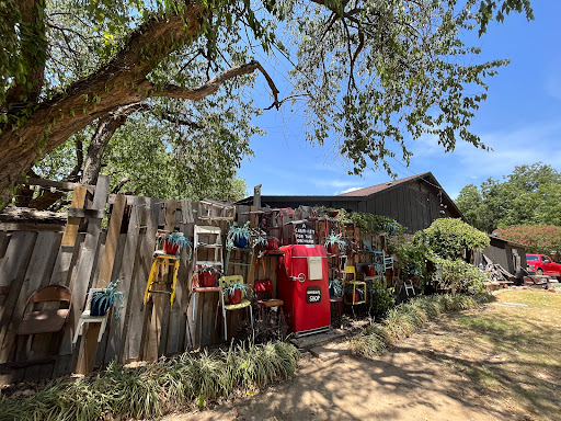 Tourist Attraction «The Chairy Orchard», reviews and photos, 1426 Churchill Dr, Denton, TX 76209, USA