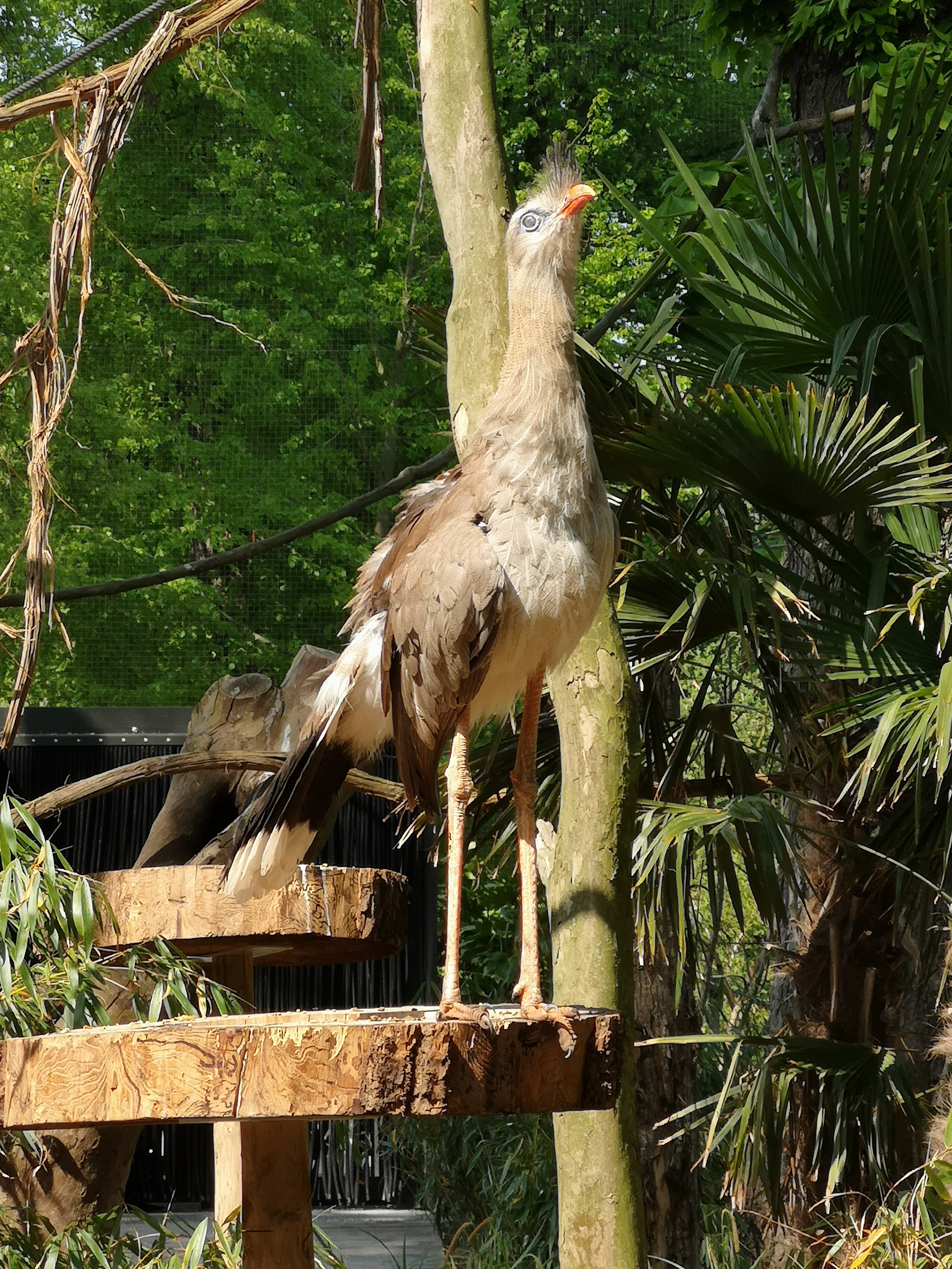 Photo n° 33 de l'avis de Bryan.r fait le 24/04/2018 à 19:19