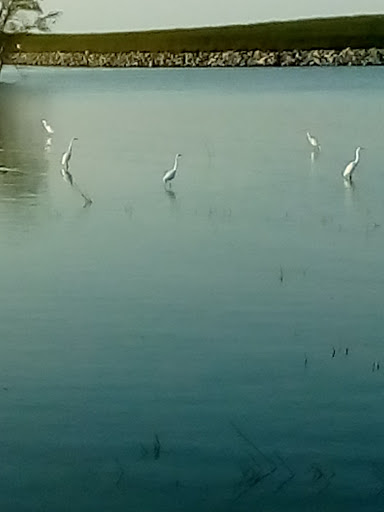 Amusement Park «Bay Beach Amusement Park», reviews and photos, 1313 Bay Beach Rd, Green Bay, WI 54302, USA