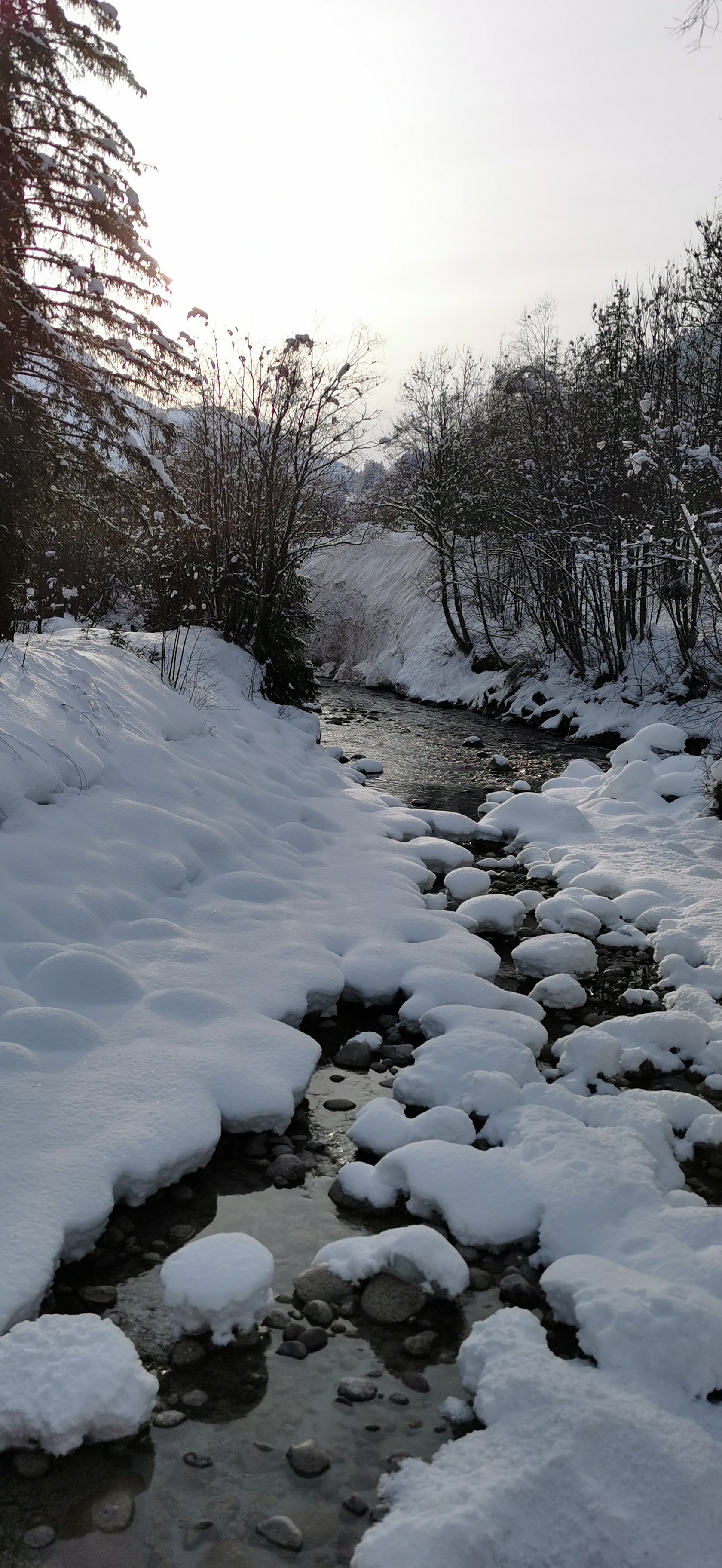 Photo n° 11 de l'avis de Pascal.r fait le 16/01/2021 à 17:31