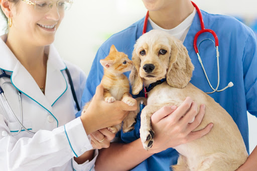 Veterinary Medical Center of Hardeeville image