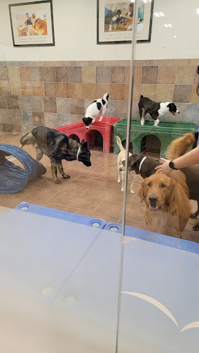 Pet Supply Store «PetSmart», reviews and photos, 5435 W TX-1604 Loop N, San Antonio, TX 78253, USA