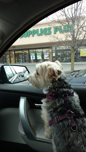 Pet Supply Store «Pet Supplies Plus», reviews and photos, 6101 Stellhorn Rd, Fort Wayne, IN 46815, USA