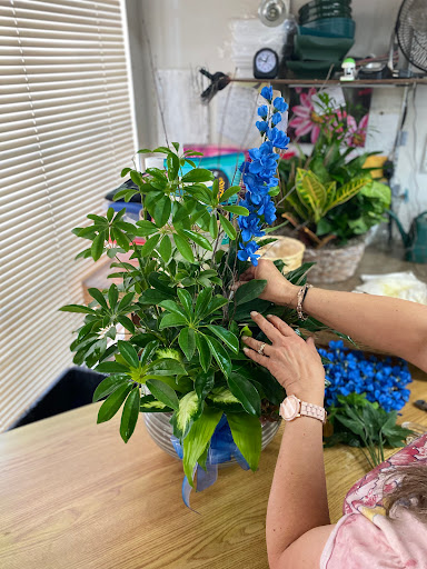 Florist «Petal Palace», reviews and photos, 15033 Nacogdoches Rd # 300, San Antonio, TX 78247, USA