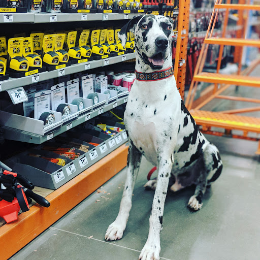 Home Improvement Store «The Home Depot», reviews and photos, 3950 N 144th St, Omaha, NE 68116, USA