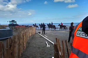 Laytown Race Course image