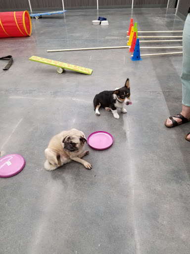 Pet Supply Store «Pet Supplies Plus», reviews and photos, 191 Alps Rd Suite 15, Athens, GA 30606, USA