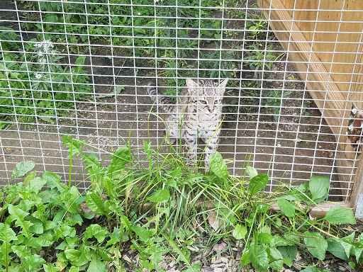 Zoo «Special Memories Zoo», reviews and photos, W7013 Spring Rd, Greenville, WI 54942, USA