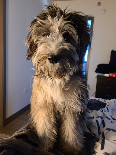 Pet Supply Store «Petco Animal Supplies», reviews and photos, 403 N 8th St, West Dundee, IL 60118, USA