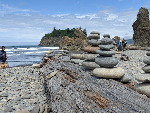 National Park «Olympic National Park», reviews and photos, 3002 Mt Angeles Rd, Port Angeles, WA 98362, USA