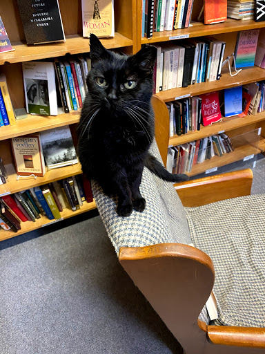 Used Book Store «Atlanta Vintage Books», reviews and photos, 3660 Clairmont Rd, Atlanta, GA 30341, USA