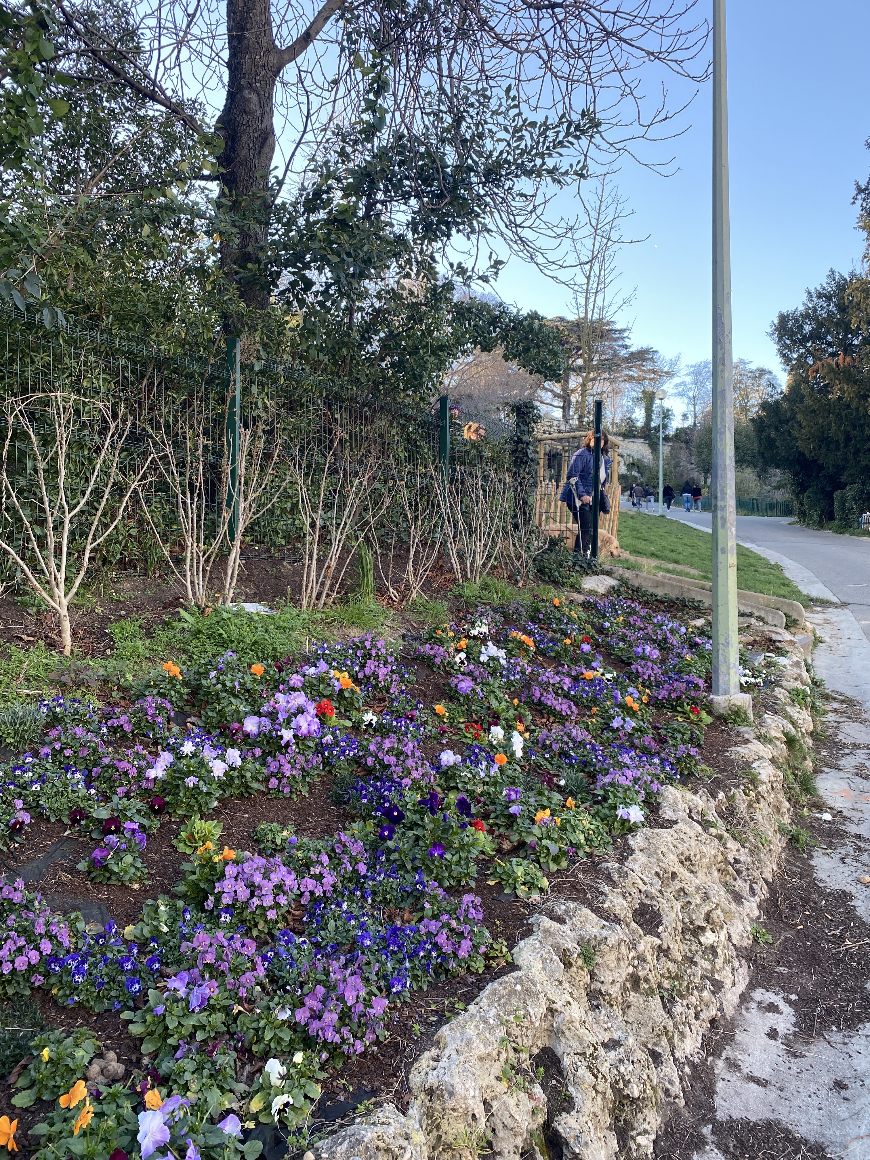 Photo n° 30 de l'avis de Georges.E fait le 24/02/2020 à 06:11