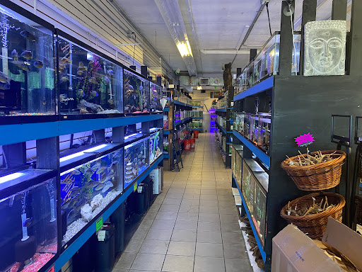 Tropical Fish Store «The Fish Hut of New Jersey», reviews and photos, 114 US-46, Saddle Brook, NJ 07663, USA
