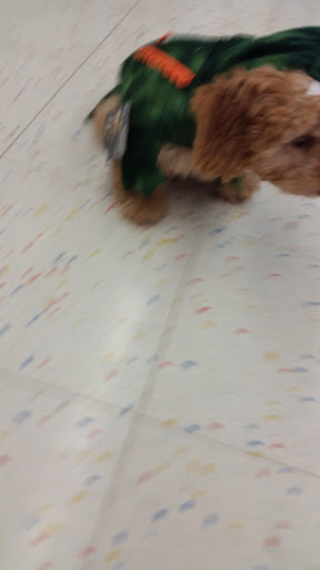 Pet Supply Store «Petco Animal Supplies», reviews and photos, 313 Homer M Adams Pkwy, Alton, IL 62002, USA