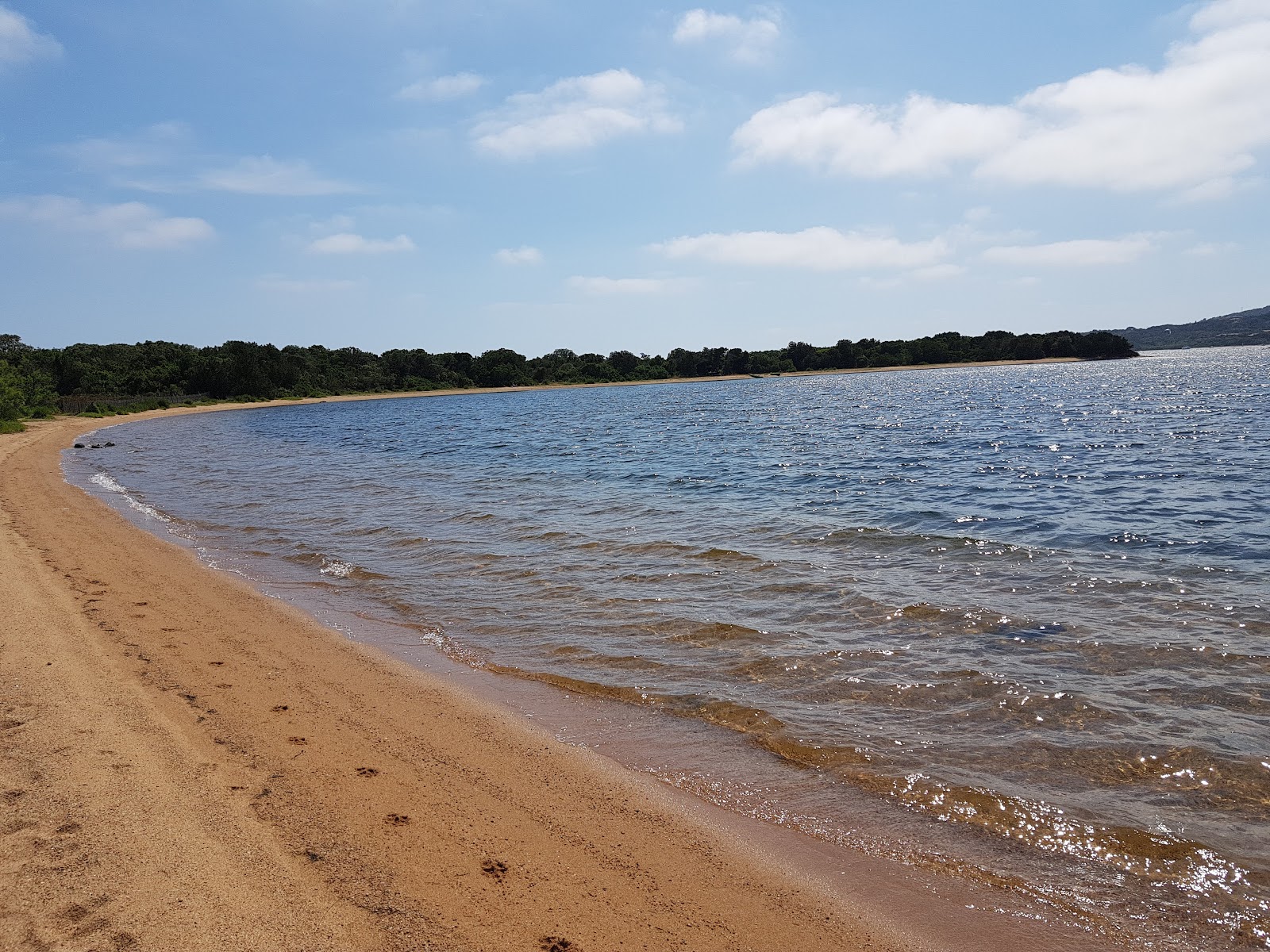 Photo de Figari beach situé dans une zone naturelle