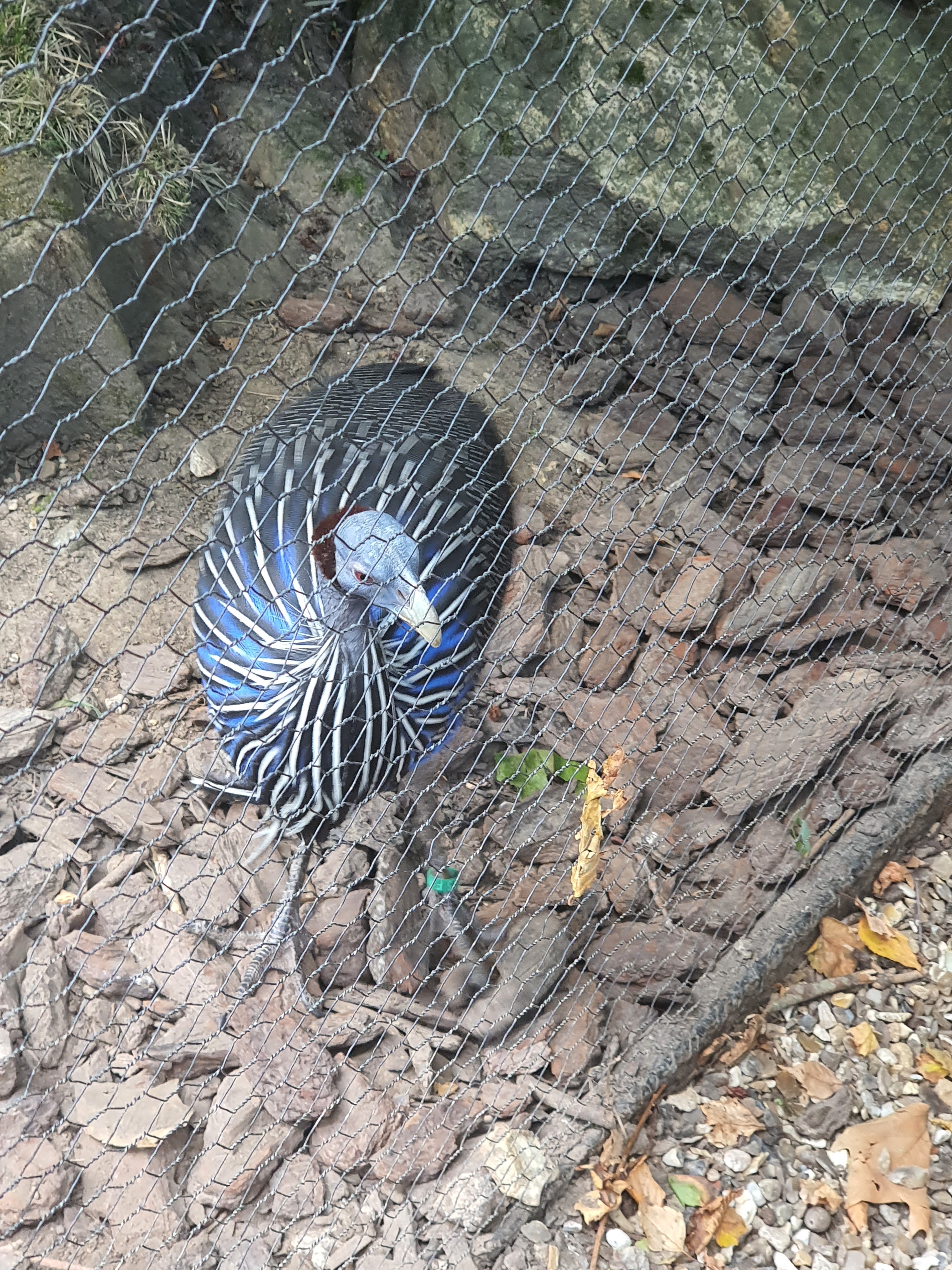 Photo n° 6 de l'avis de Mylene.o fait le 17/07/2023 à 15:57