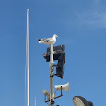 Photo n°5 de l'avis de Sara.a fait le 23/04/2023 à 18:32 sur le  Ristorante Alga Blu à Spotorno