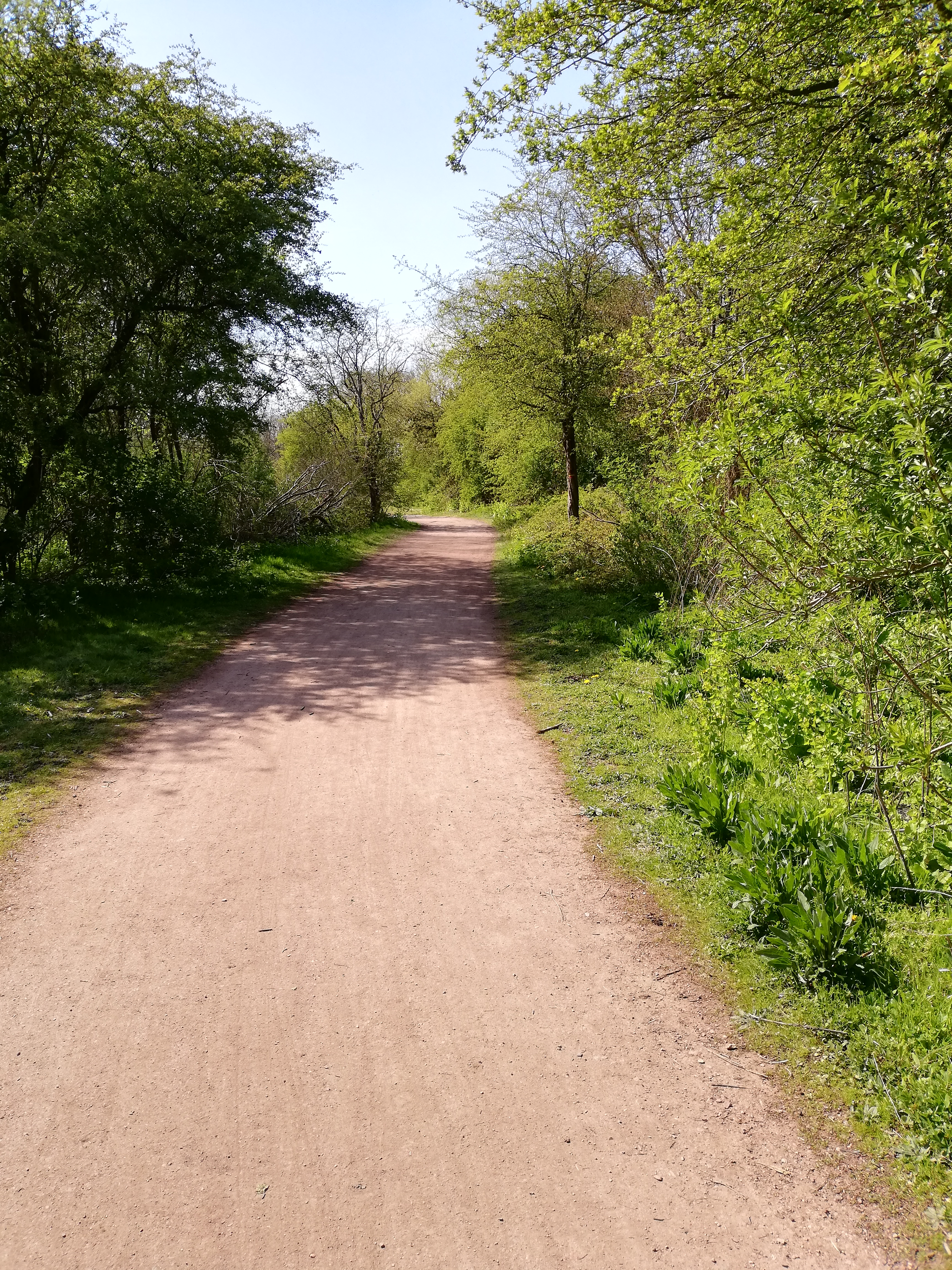 Photo n° 5 de l'avis de lyse.a fait le 18/04/2021 à 16:27