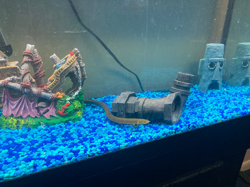 Pet Supply Store «All About Pets», reviews and photos, 9285 Cincinnati Columbus Rd, West Chester Township, OH 45069, USA