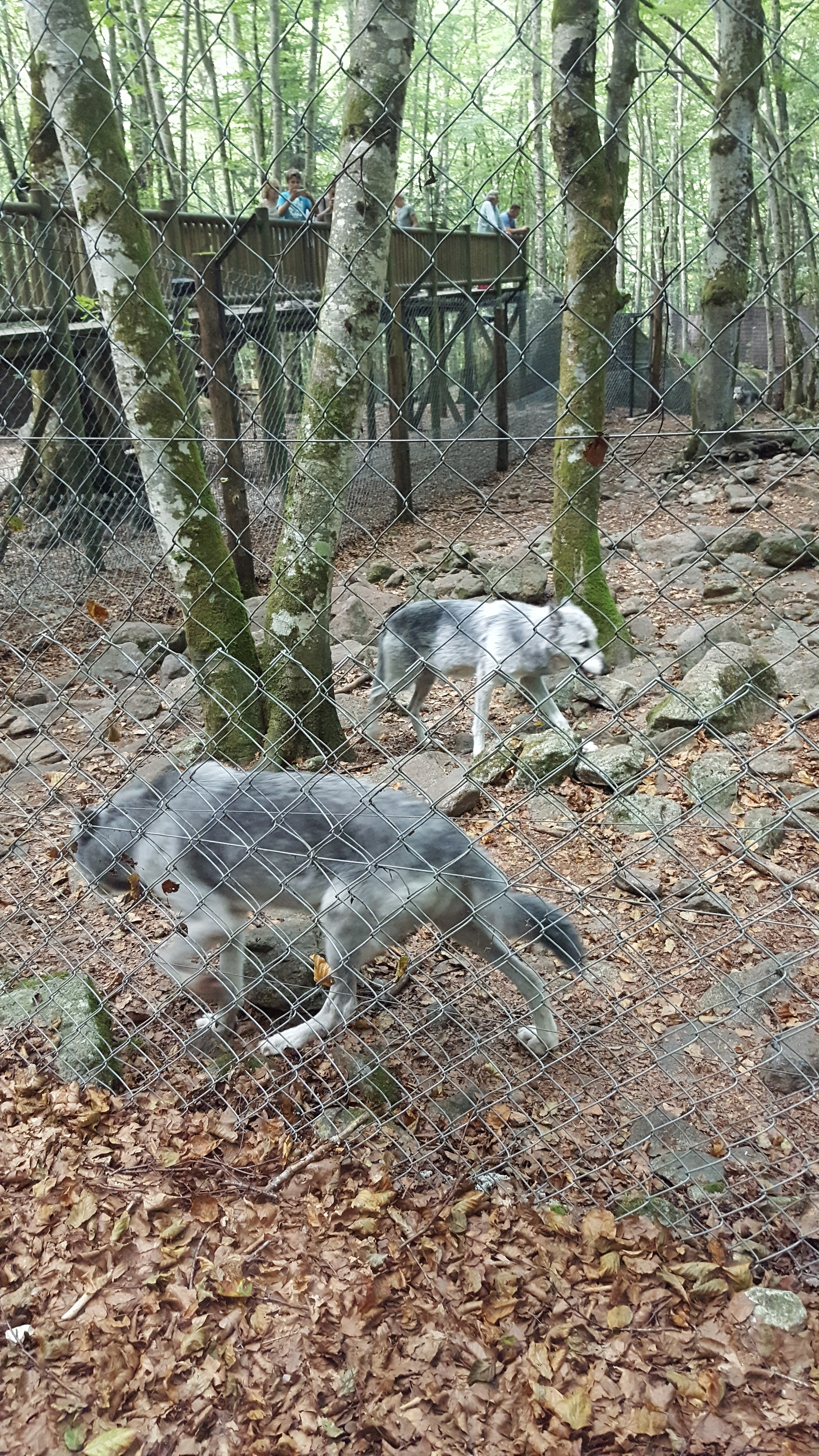 Photo n° 4 de l'avis de seb.a fait le 28/08/2017 à 16:52