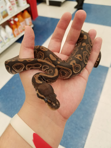 Pet Supply Store «Petco Animal Supplies», reviews and photos, 2277 Ford Pkwy, St Paul, MN 55116, USA