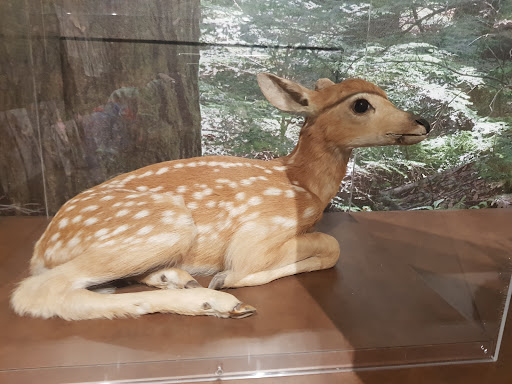 Museum «Peabody Museum of Archaeology and Ethnology», reviews and photos, 11 Divinity Ave, Cambridge, MA 02138, USA