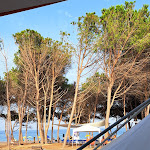 Photo n°2 de l'avis de Iscrixedda.e fait le 17/07/2023 à 04:42 sur le  Bar Ristorante Pizzeria L'Aragosta à Lotzorai