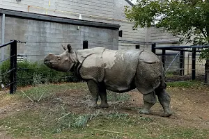 Indian Rhinoceros Pavilion image