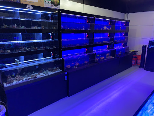 Tropical Fish Store «Tropical Pet Oasis», reviews and photos, 10218 Progress Ln, Parker, CO 80134, USA