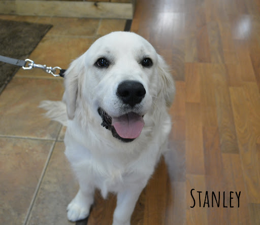 Pet Supply Store «The Natural Pet Enrichment Center», reviews and photos, 6720 Royalton Rd, North Royalton, OH 44133, USA