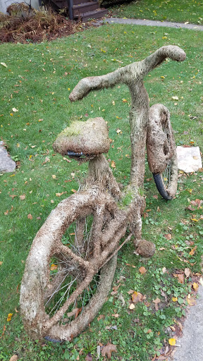 Grocery Store «Whole Foods Market», reviews and photos, 3313 University Ave, Madison, WI 53705, USA