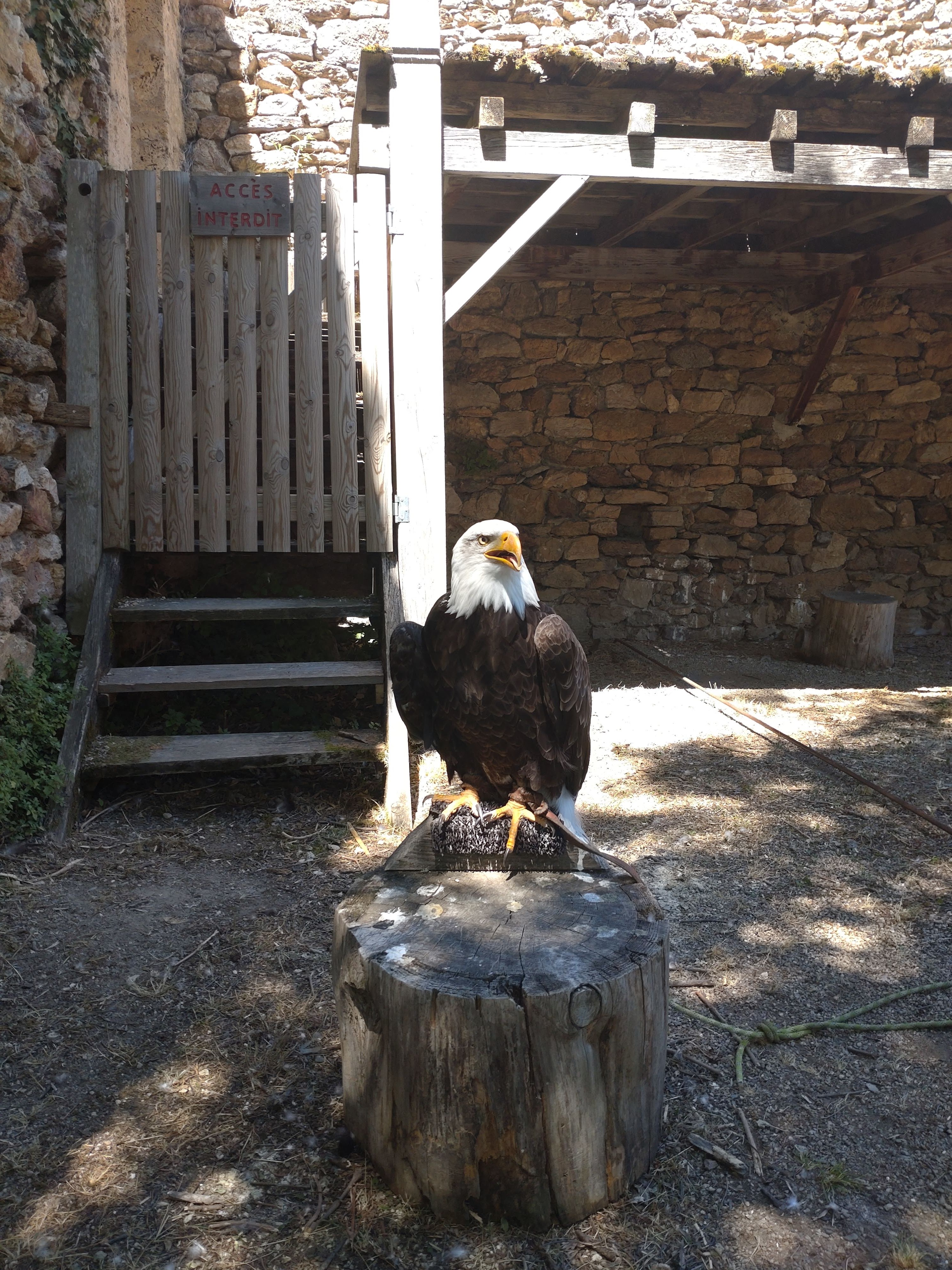 Photo n° 4 de l'avis de Christine.u fait le 11/08/2022 à 10:05