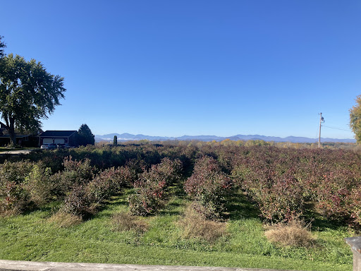 Winery «Charlotte Village Winery», reviews and photos, 3968 Greenbush Rd, Charlotte, VT 05445, USA