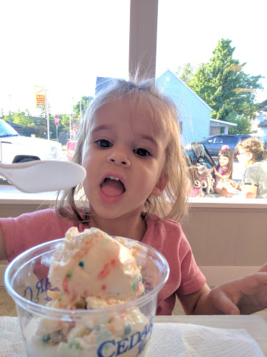 Ice Cream Shop «The Milk Pail», reviews and photos, 36 W Marshall St, Rice Lake, WI 54868, USA