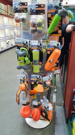 Pet Store «Petland South Orlando», reviews and photos, 3920 S Semoran Blvd, Orlando, FL 32822, USA