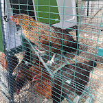 Photo n°2 de l'avis de Alfredo.e fait le 13/09/2022 à 06:29 sur le  Agriturismo Caniloro à Lanciano