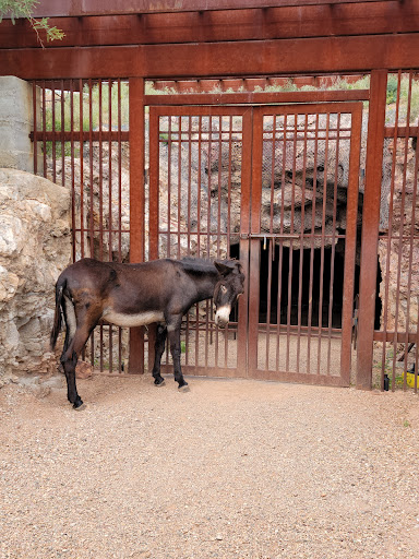 Theme Park «Old Tombstone Wild West Theme Park», reviews and photos, 339 S 4th St, Tombstone, AZ 85638, USA