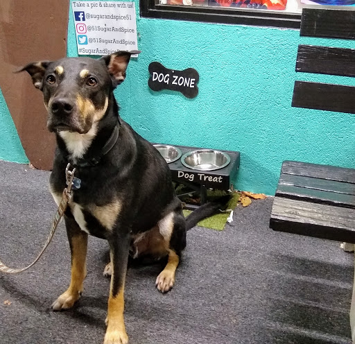 Ice Cream Shop «Sugar and Spice», reviews and photos, 5200 Clairton Blvd, Pittsburgh, PA 15236, USA